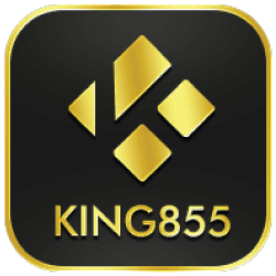 Joker / King855